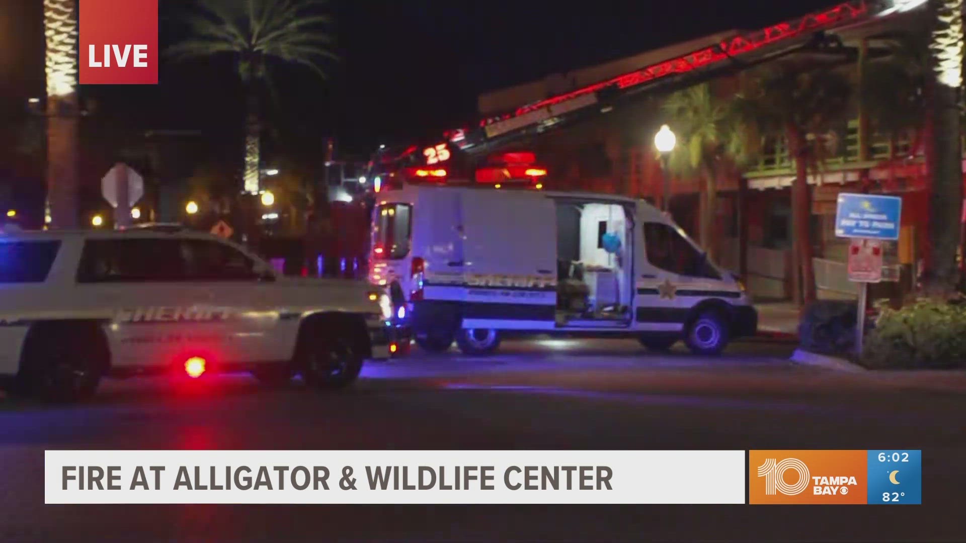 Multiple animals killed in fire at Alligator & Wildlife Center near ...