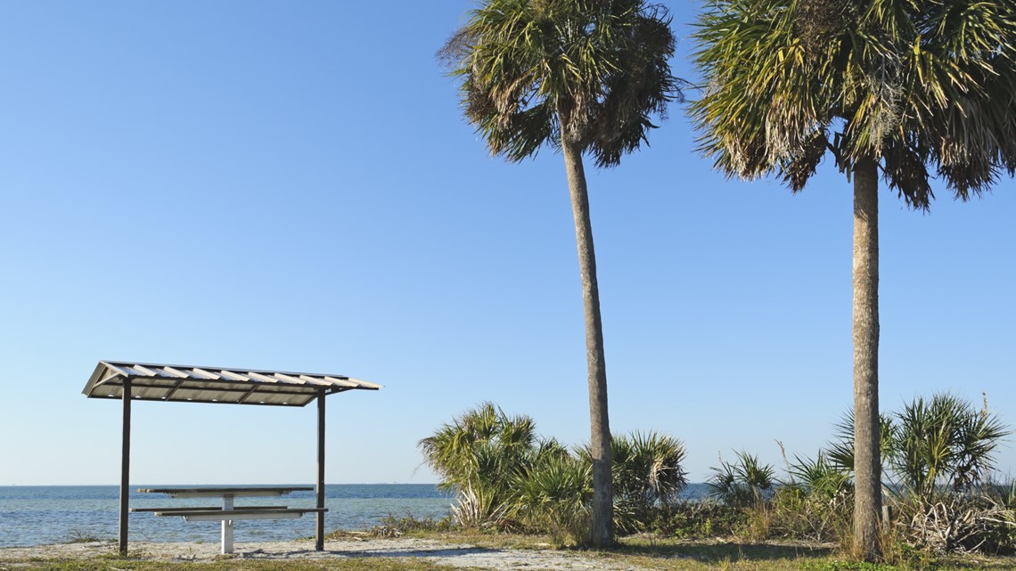 Simmons Park Beach under public health advisory for bacteria - Vimarsana News