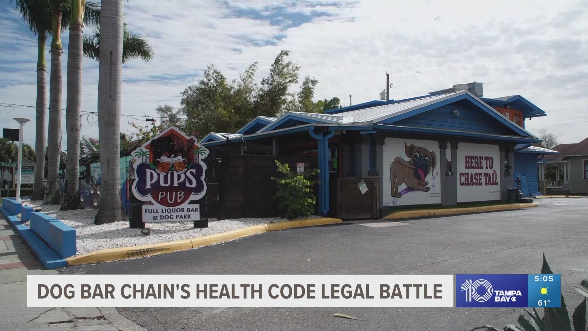 The Florida Department of Health is trying to block "Pup's Pub" from having dogs inside its business.