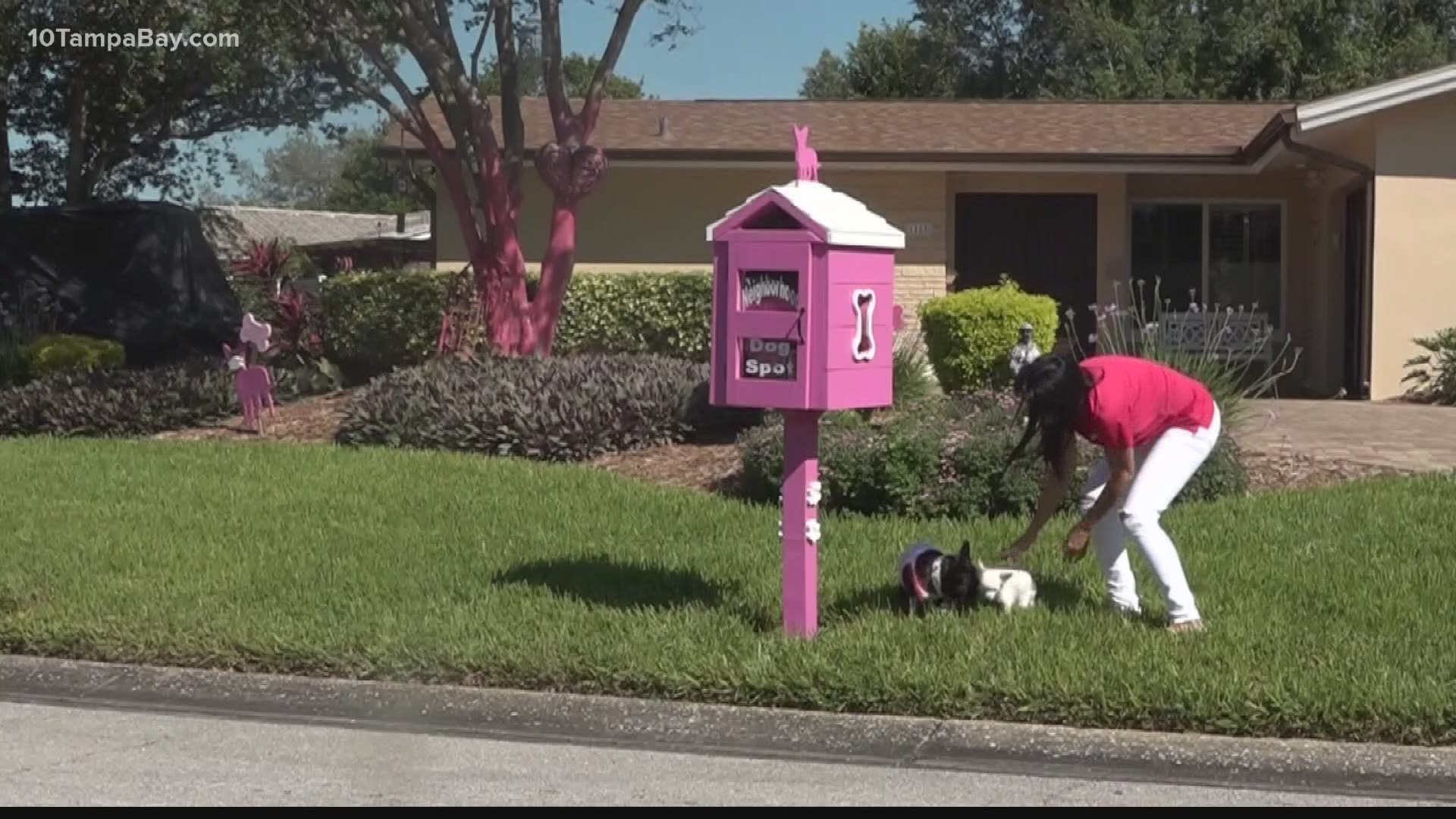 St. Petersburg code enforcement cited Jaime McKnight for the community box she put in her front yard for neighbors and their dogs.