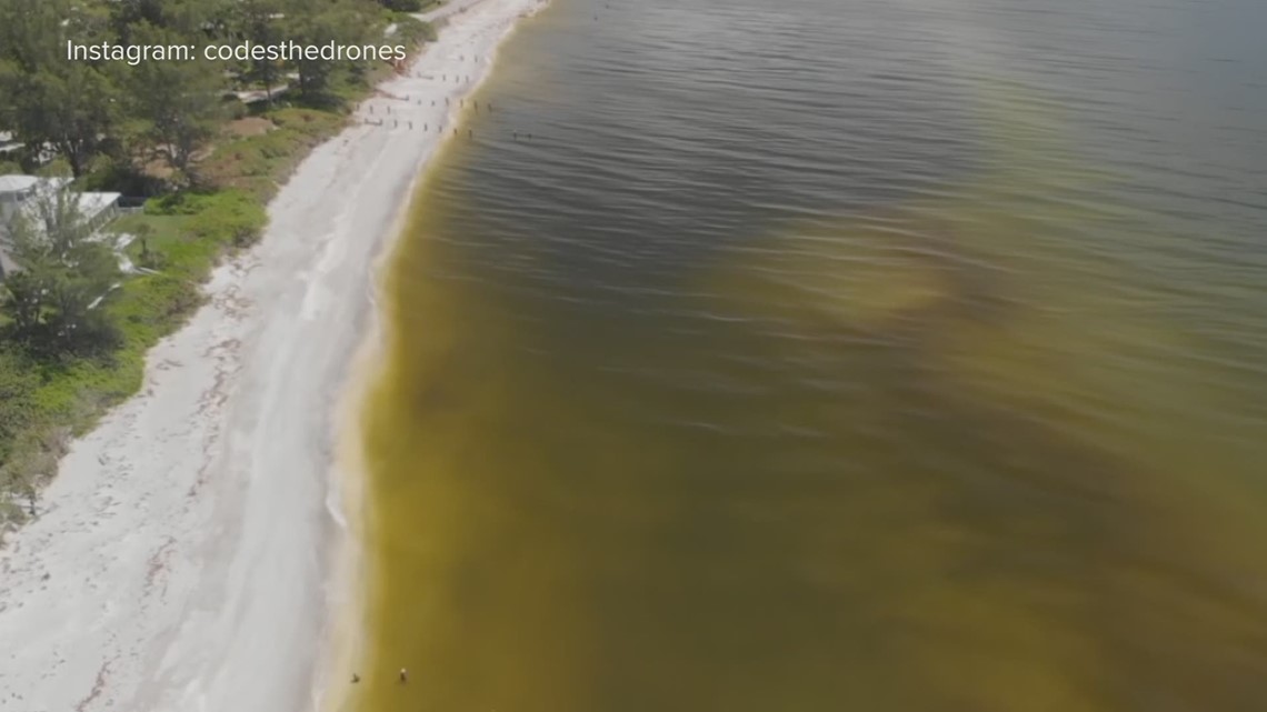 solution for tide red can Scientists disasters avoid future red tide say Florida