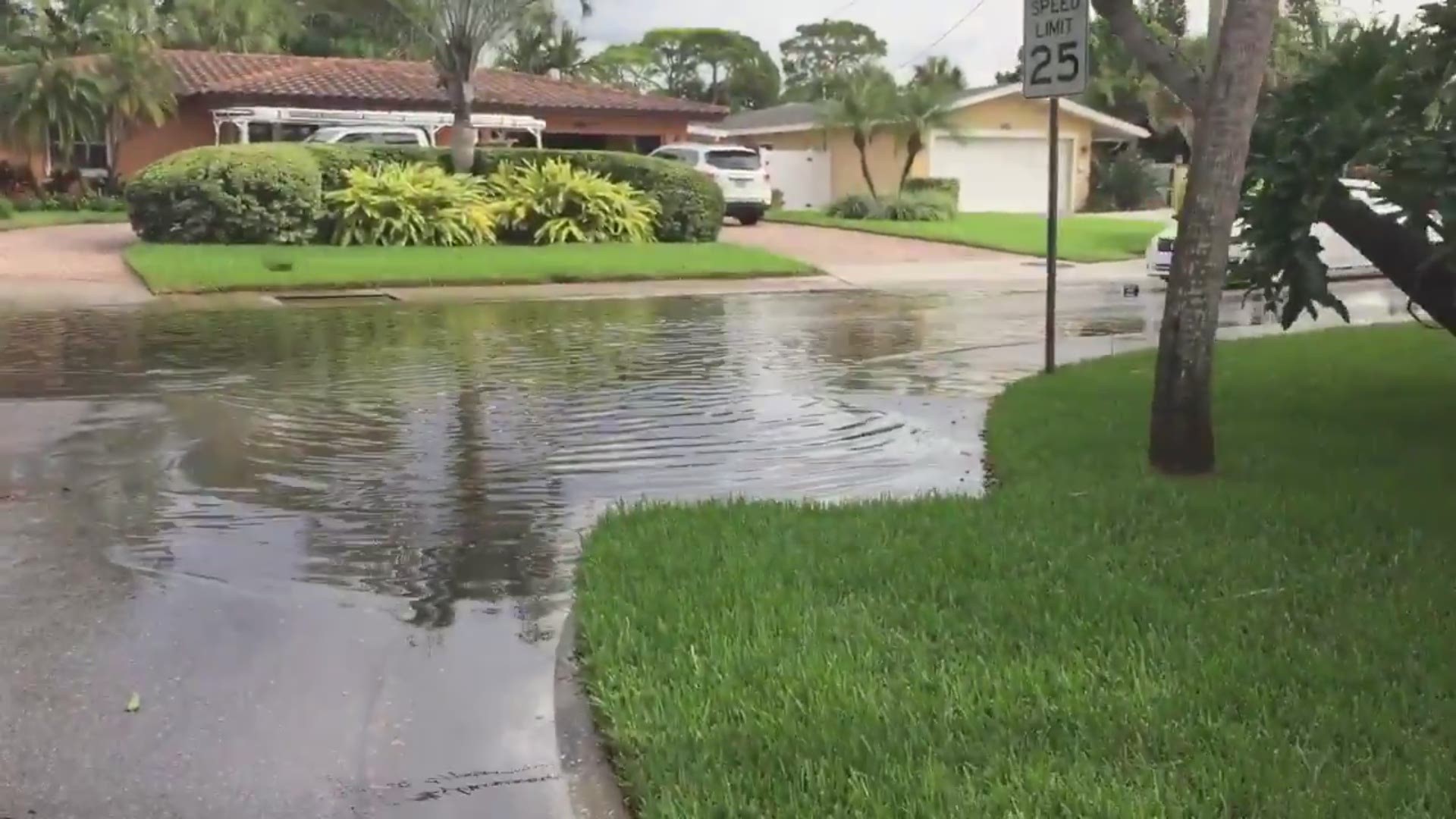 High tide, storm surge caused by Hurricane Michael spurs flooding ...