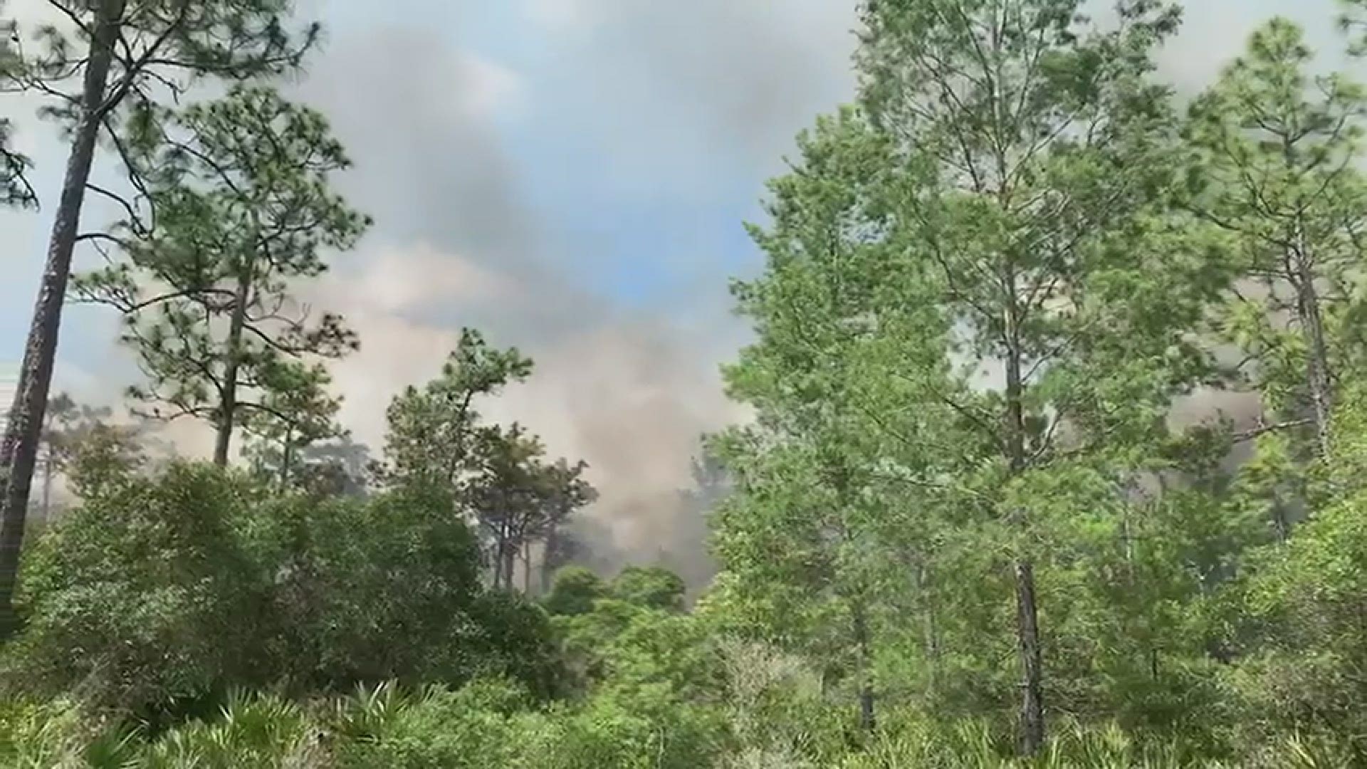 The fire has grown to roughly 20 acres. (Video: Pasco County Fire Rescue)