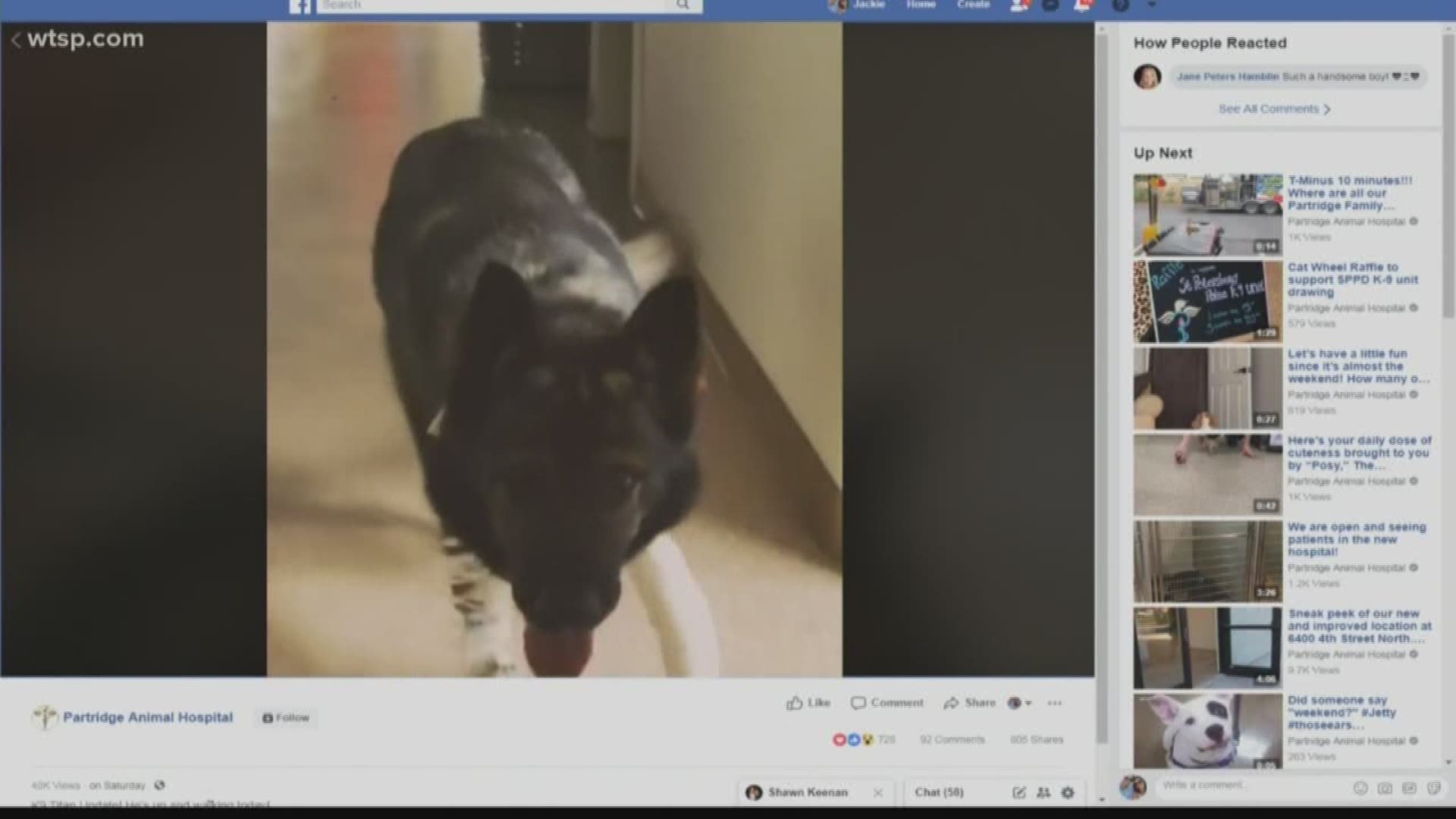 K-9 Titan is already back on his paws after being shot by a suspect Friday.

The St. Petersburg Police Department shared a video of him up and walking Sunday.