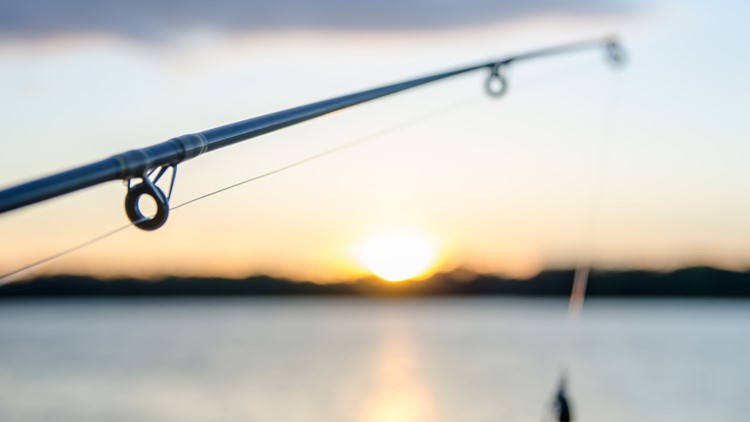 Fishing in Florida: The best time to catch the perfect fish