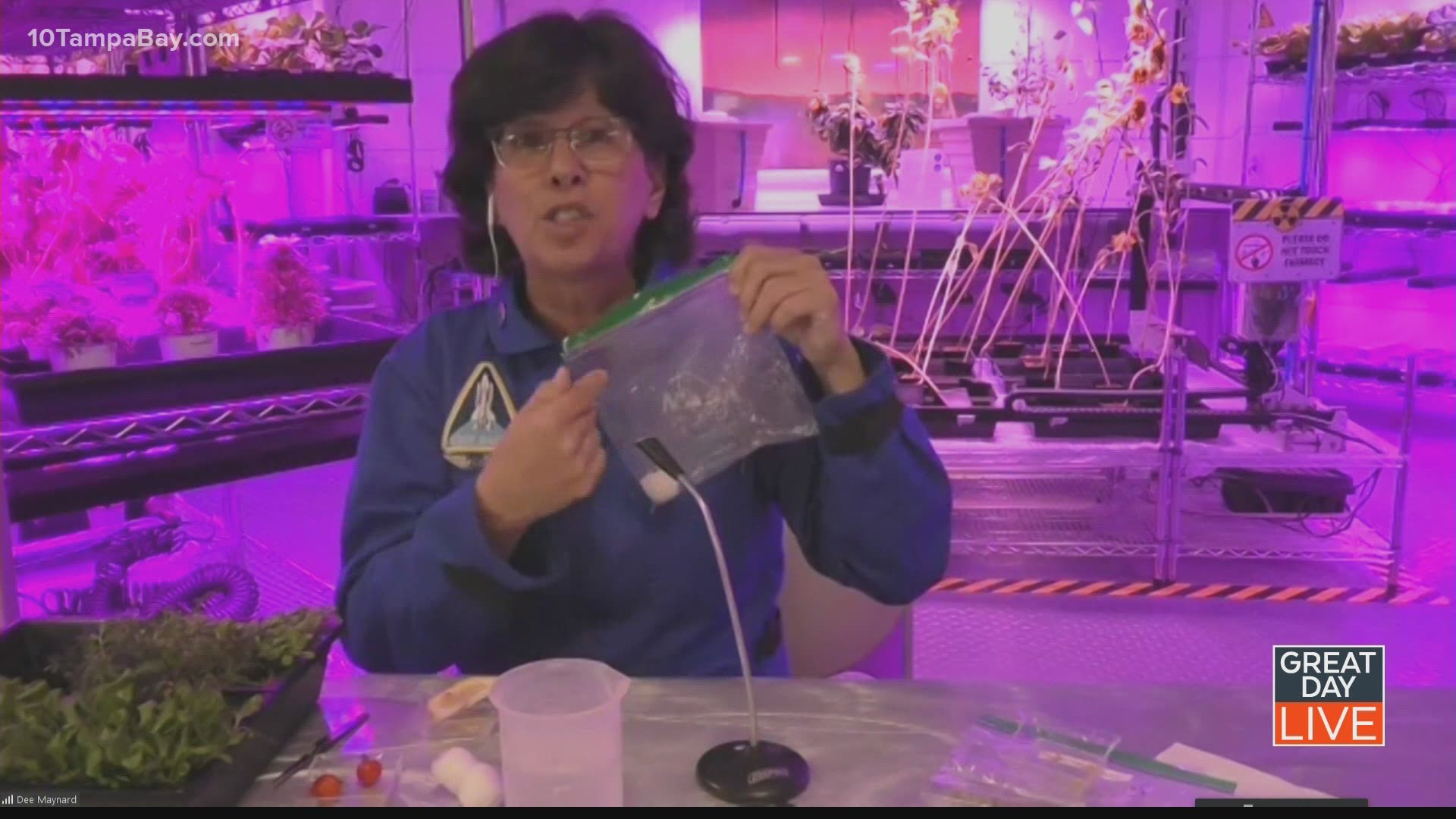 Dee Maynard from KSC teaches us how to make “Botany in a Bag,” using seeds from vegetables in your refrigerator.