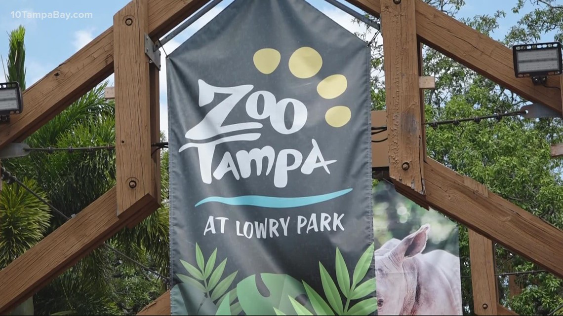 ZooTampa makes sure to keep the animals cool in Florida heat | wtsp.com