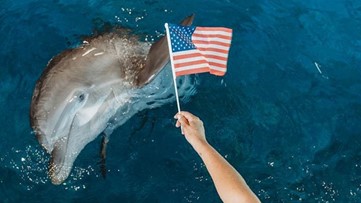 Clearwater Marine Aquarium extends first responders 'Appreciation Ticket'