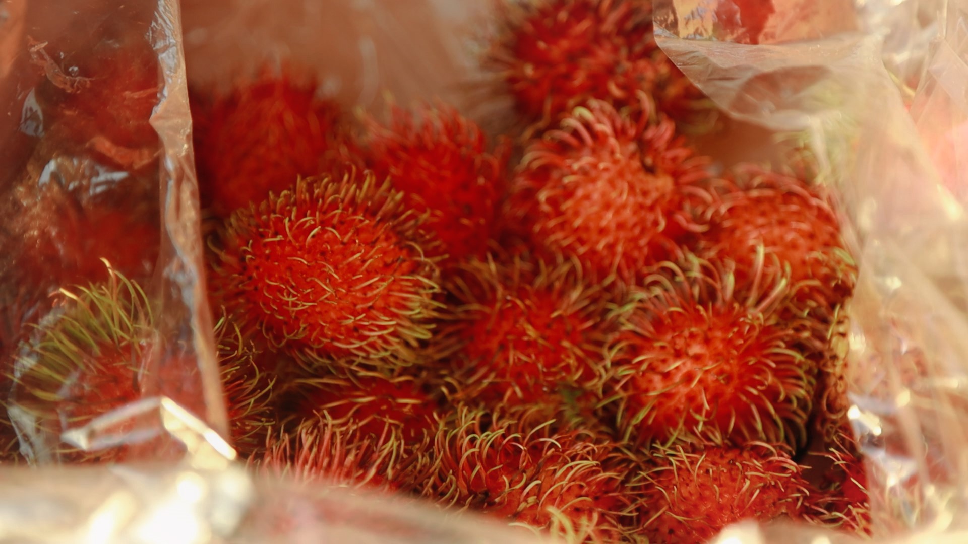 Saigon Summer Night Market brings Asian cuisine to Clearwater