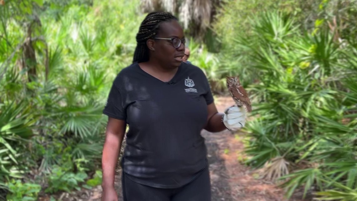 Largo park helps wounded veterans by pairing them with hurt owls - Vimarsana News