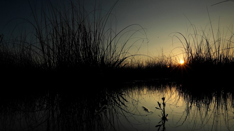 Planning a trip to the Everglades? Here's how to prepare for this year's dry season