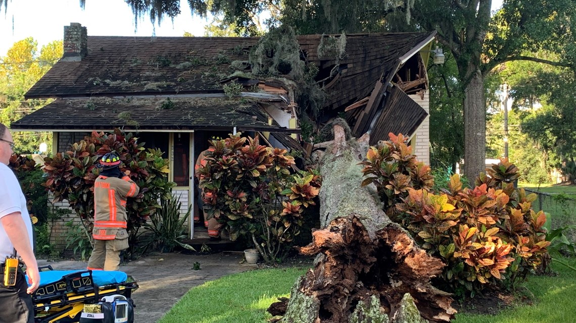 Tree collapses onto Florida woman's home, entrapping her | wtsp.com