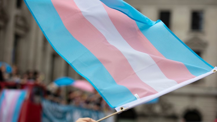 US judge blocks Florida ban on trans minor care in narrow ruling, says 'gender identity is real'
