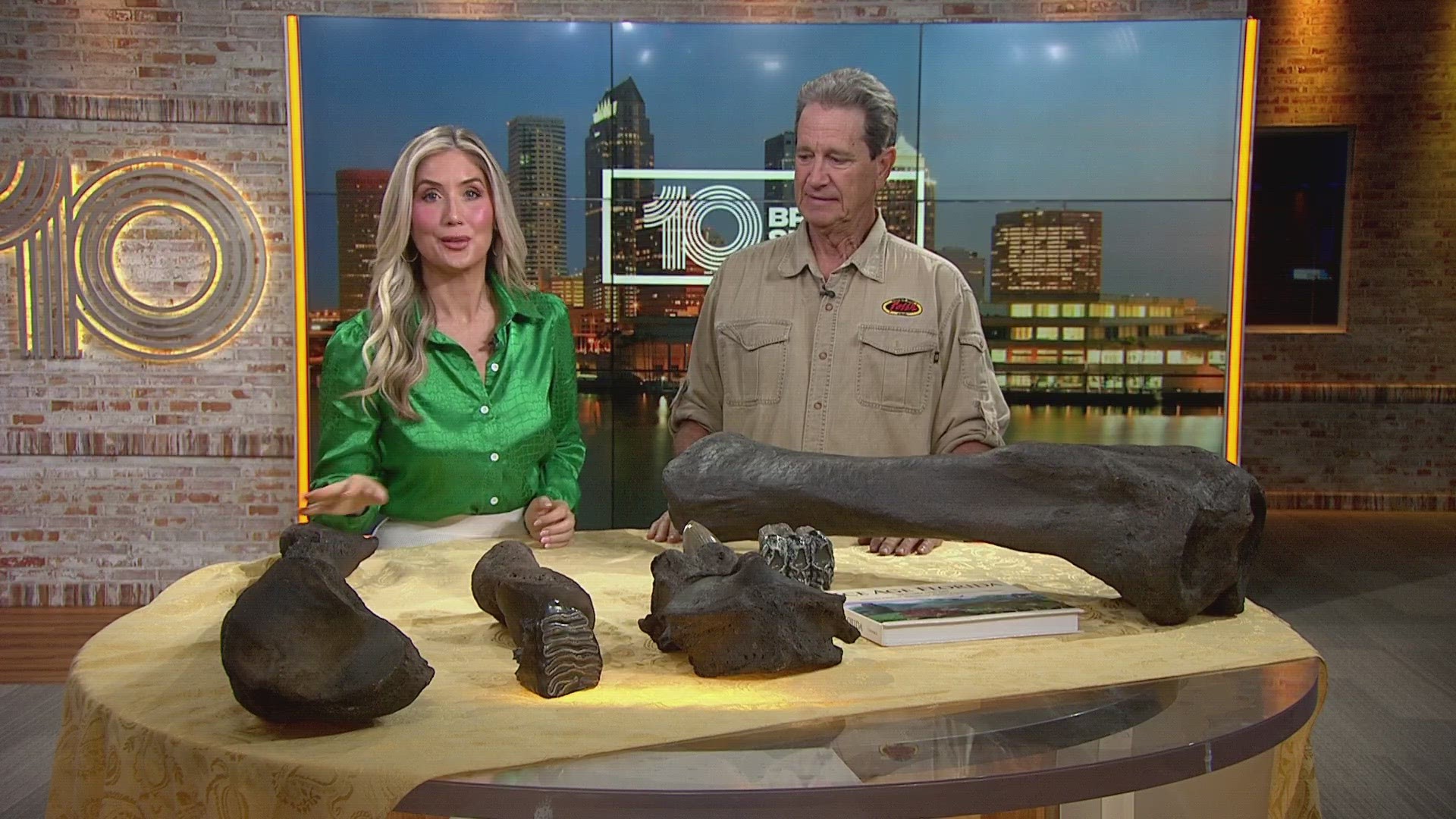Fossil Fest is happening March 18-19 at the Florida State Fairgrounds.