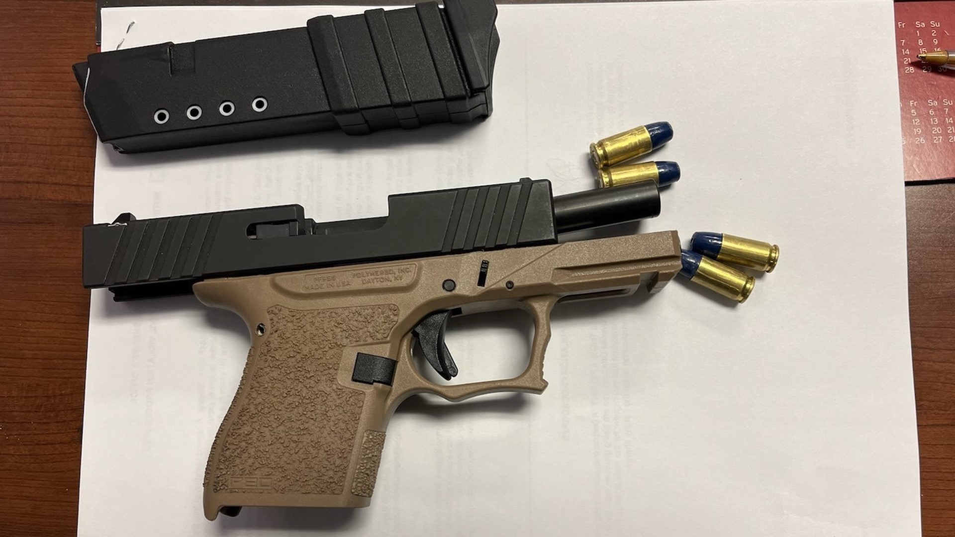 Florida student accused of having gun with live rounds at school | wtsp.com