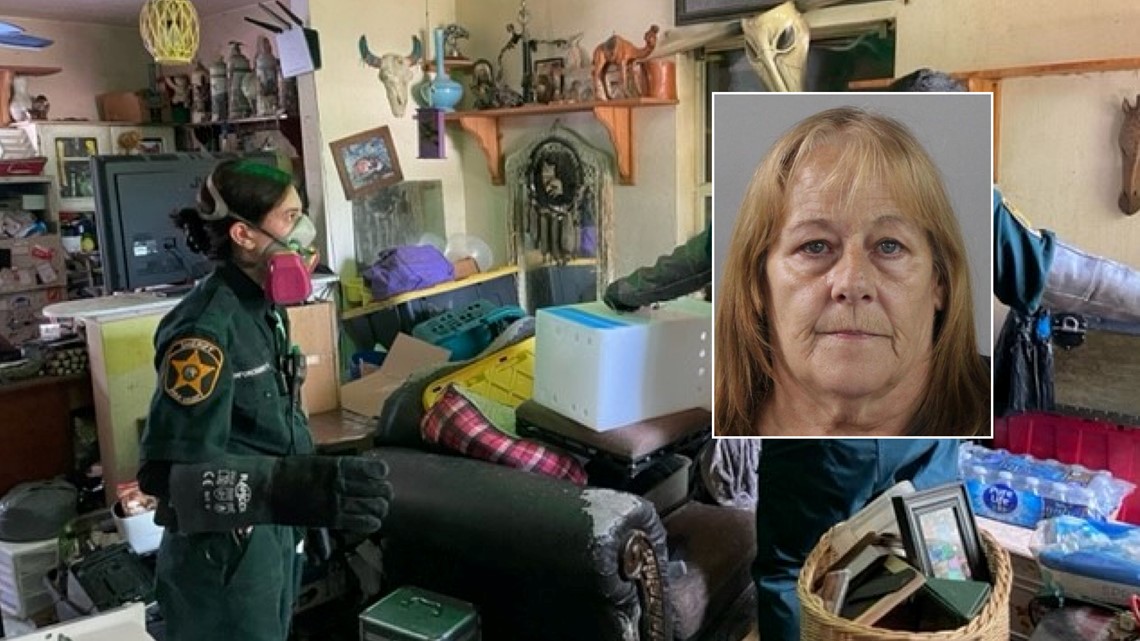 Sheriff Judd: Lakeland woman arrested for animal cruelty - Vimarsana News