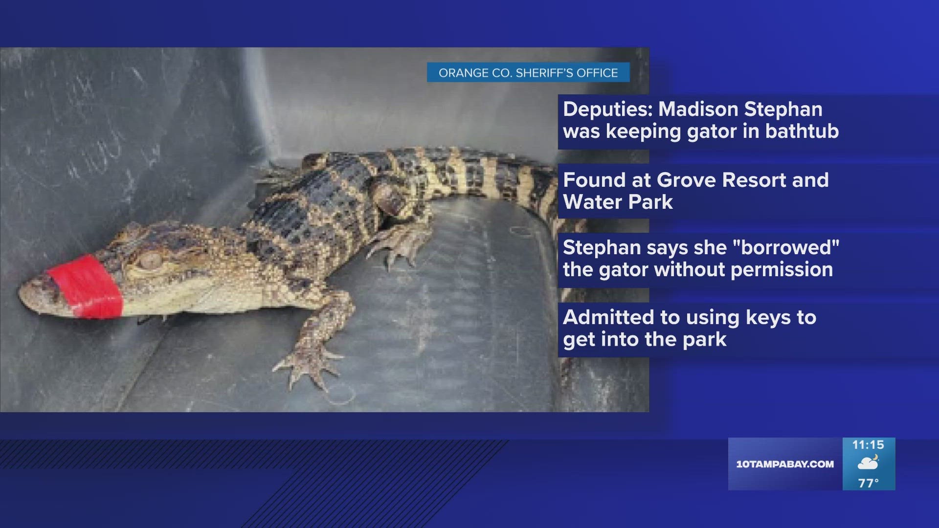 The woman reportedly told officers she got the animal from Croc Encounters where she used to work.