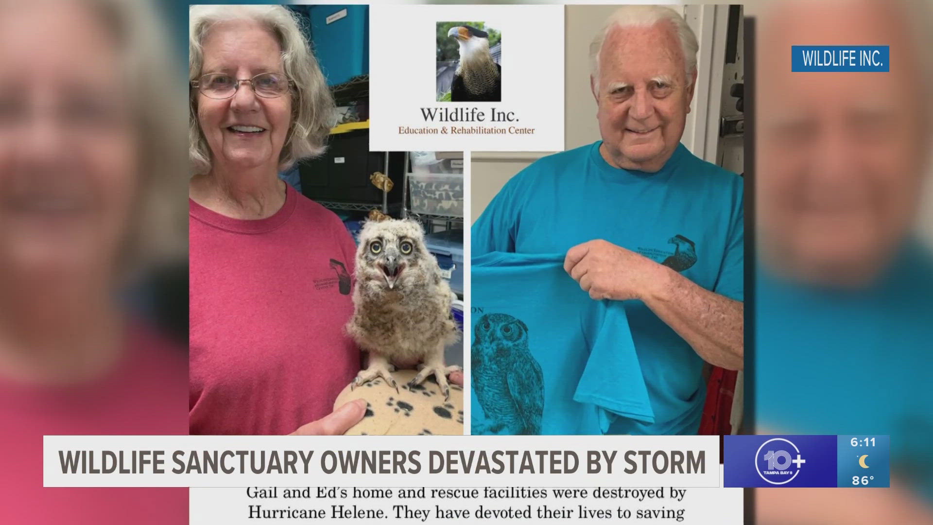 Through their 34-year-old non-profit, Wildlife Education and Rehabilitation Center, Ed and Gail Straight said they've rescued around 150,000 injured animals.