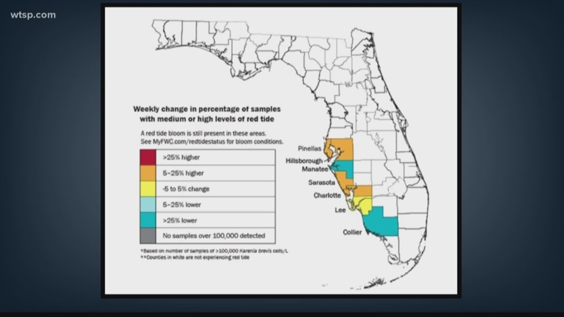 FWC releases latest red tide map, just in time for Labor 
