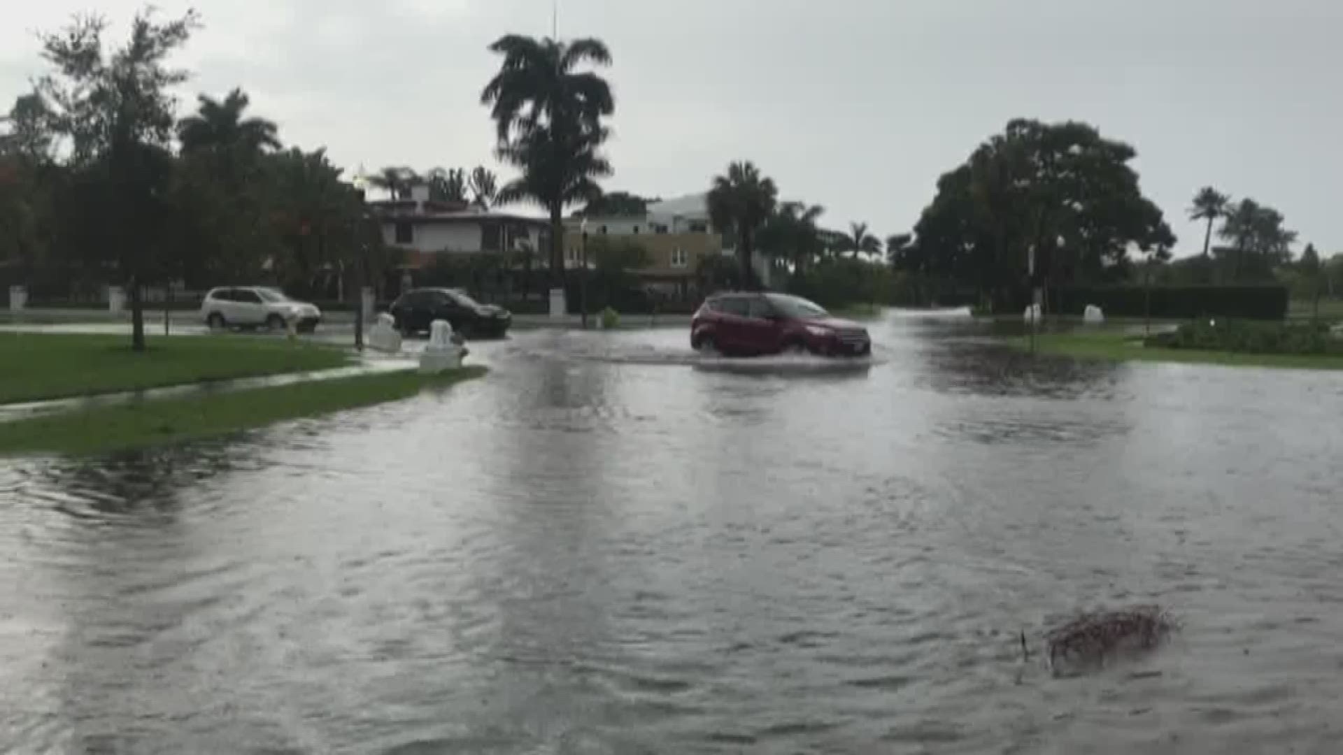 Storms dumped rain across St. Petersburg Thursday. Water covered the streets of St. Pete as drivers tried to make their way through.