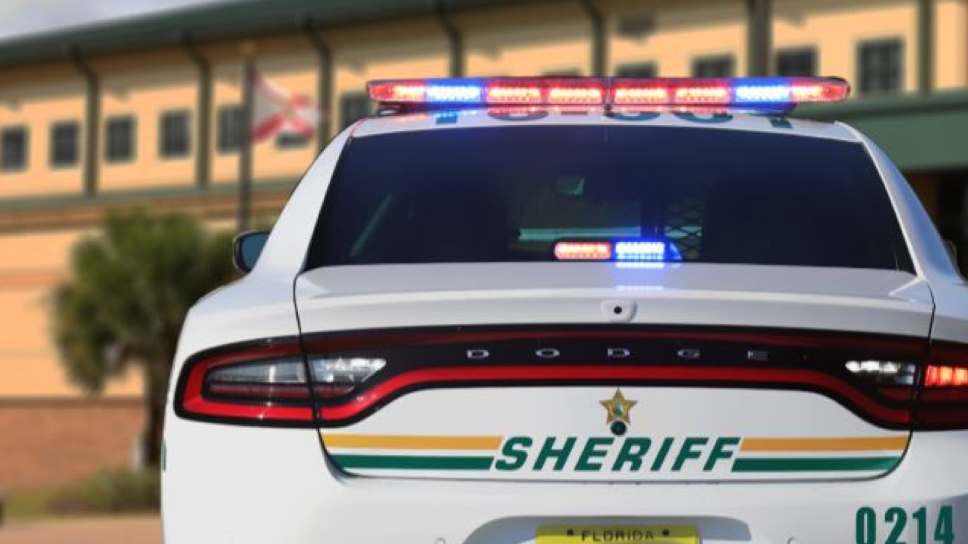 Woman hits man with baseball bat, rams into sheriff's patrol car, Polk County Sheriff's Office says