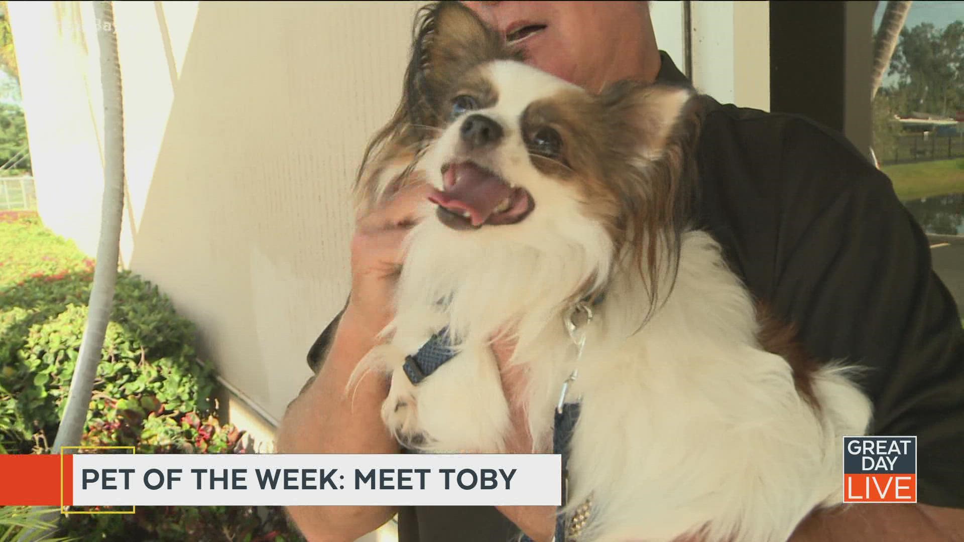 POTW: Meet Toby
