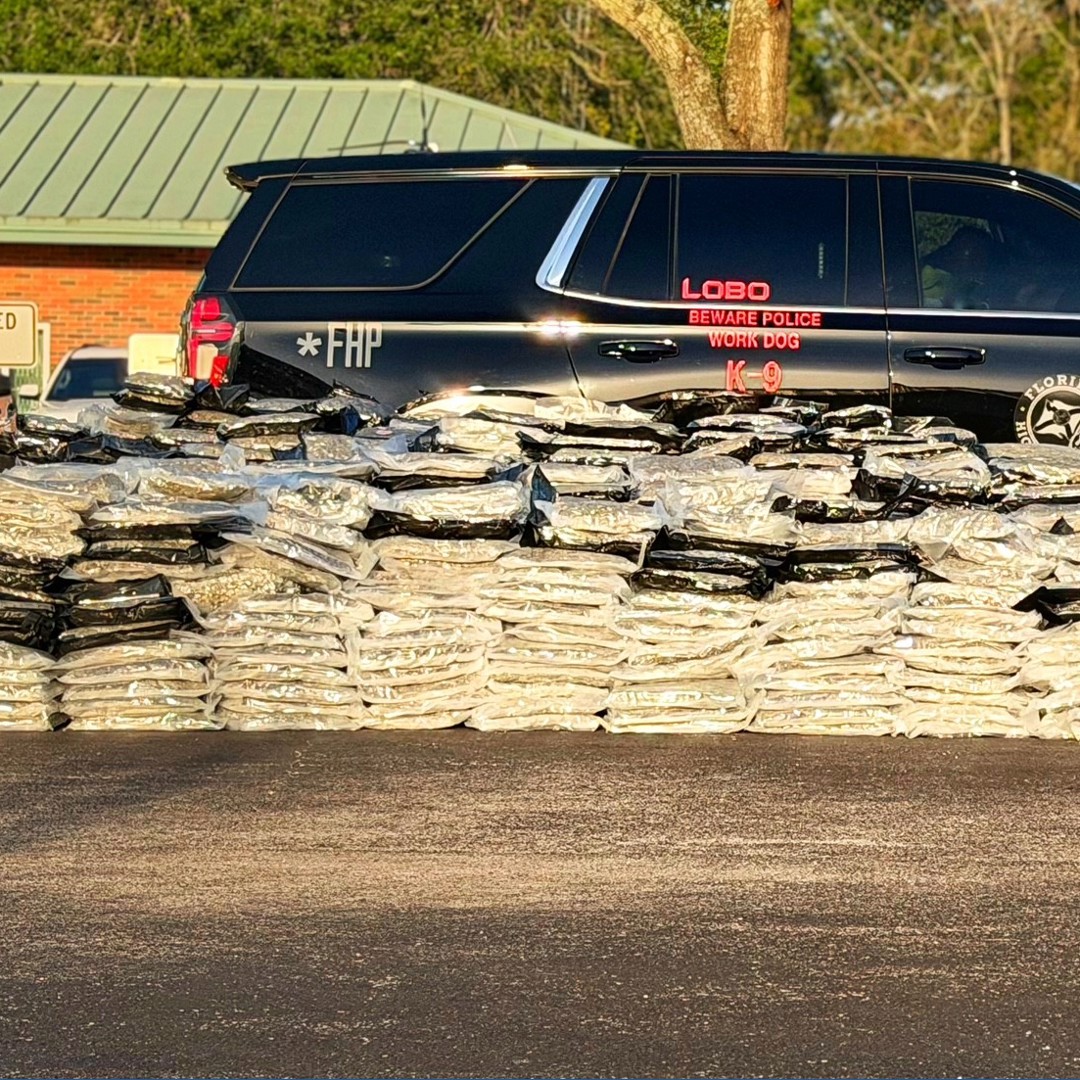Over 2,000 pounds of marijuana seized after Largo man gets arrested on ...