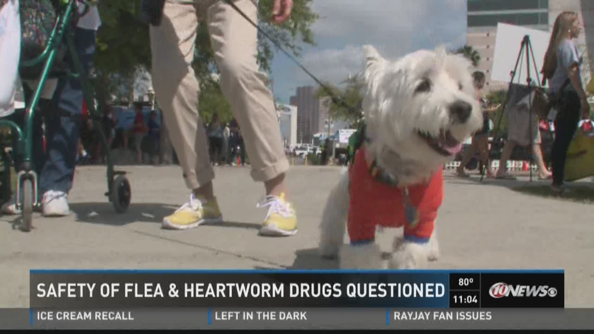 heartworm and flea medication for dogs