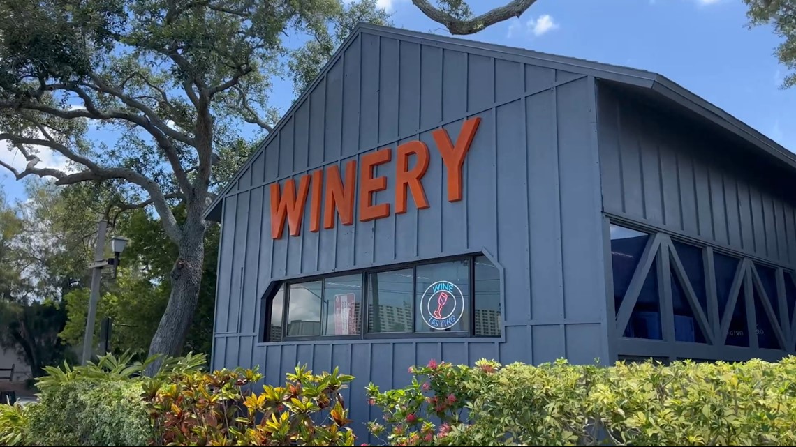 Where to find and taste Florida’s fruit wines | wtsp.com