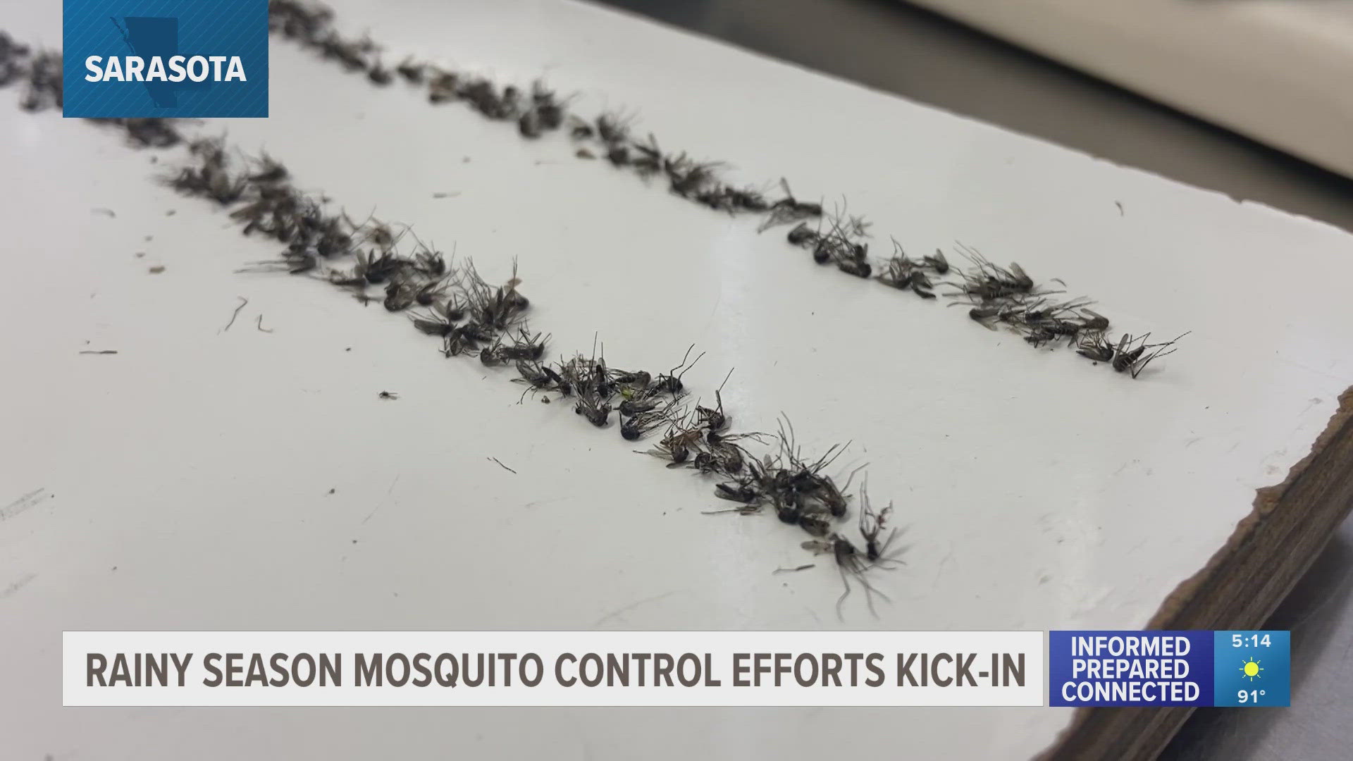 Mosquito control officials are urging residents to also check their property for standing water and request mosquito-eating fish for ponds or water features.