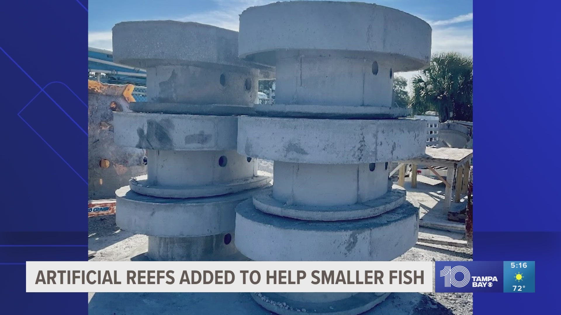 The reefs mimic natural ledges and can also protect fish from predators.
