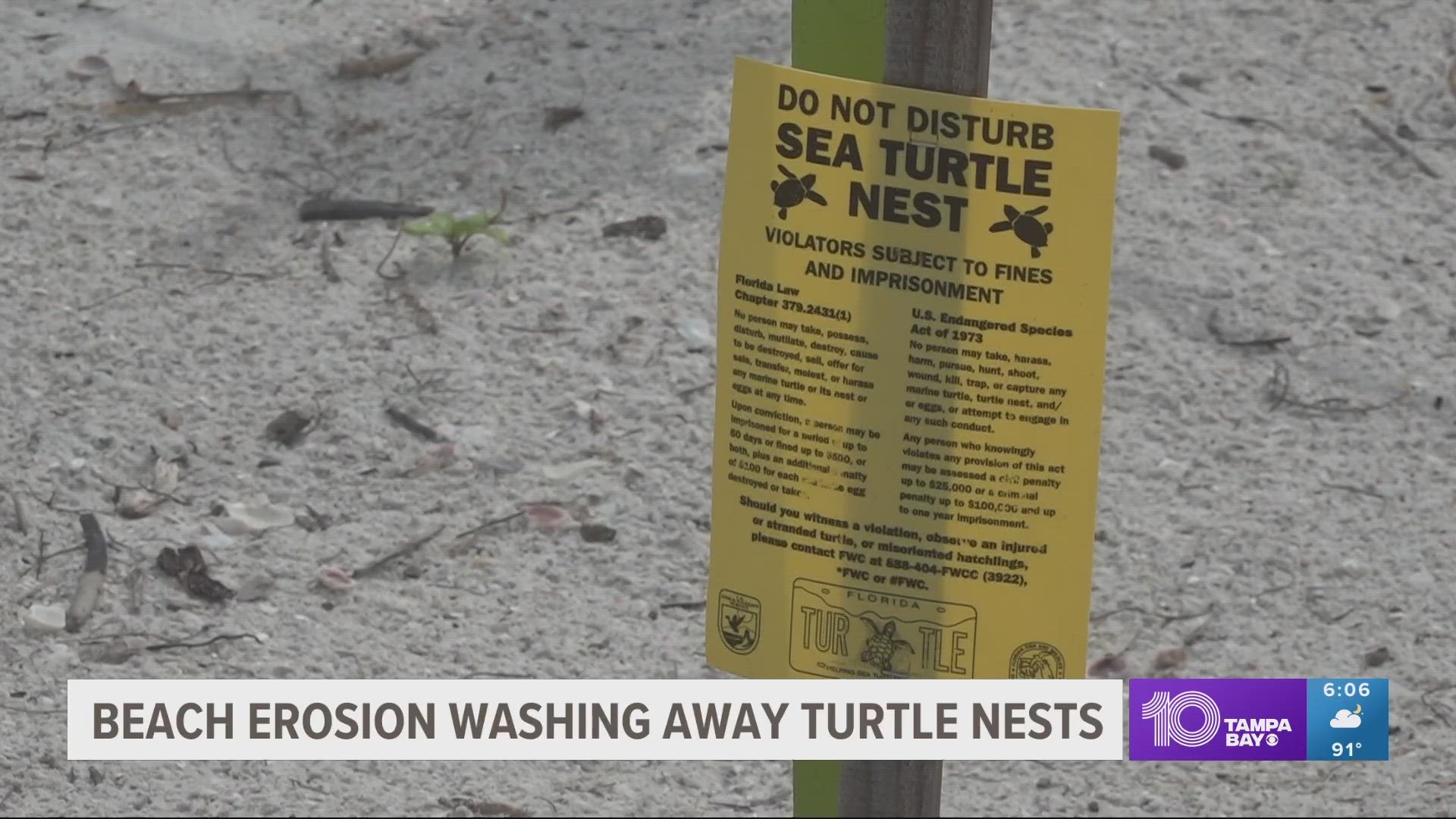 A project to combat beach erosion may not have happened as scheduled – leaving turtle nests at risk of rising high tides.