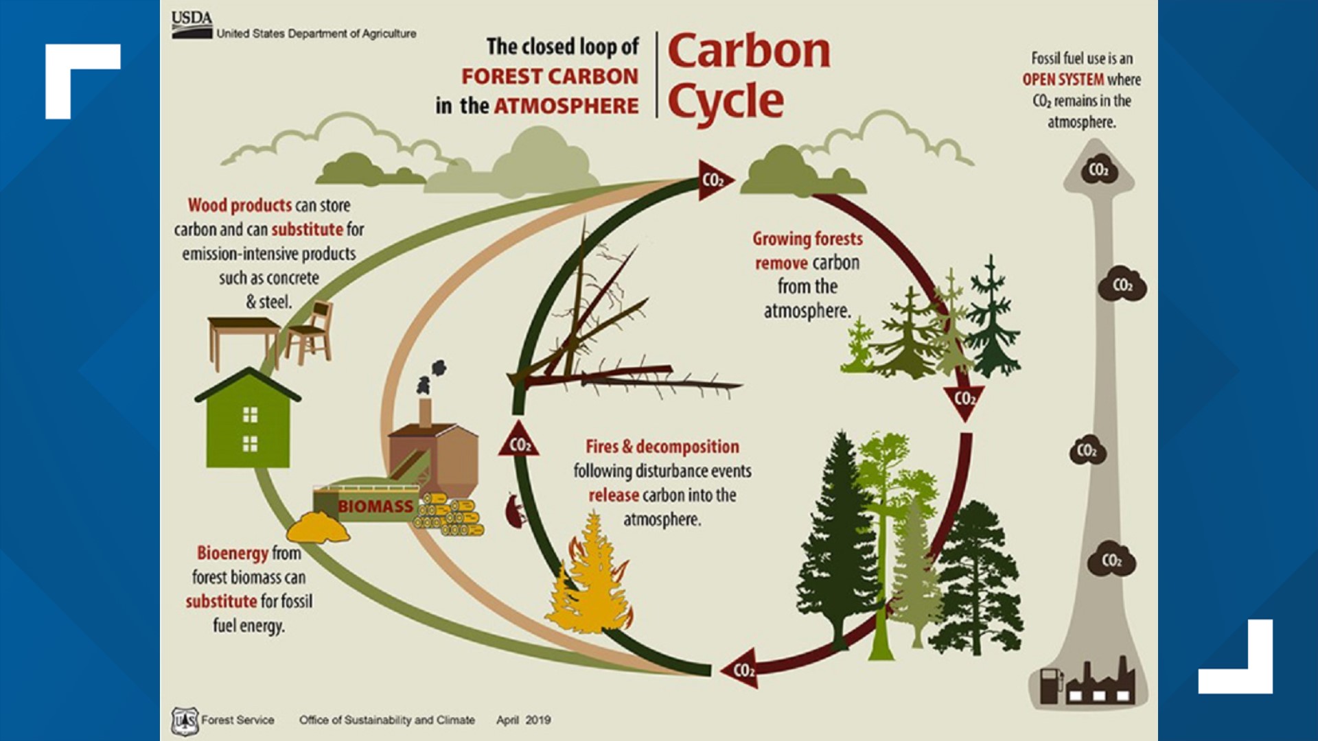 How a changing climate is making wildfires even worse | wtsp.com