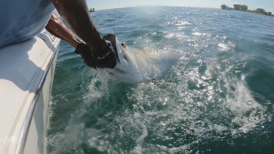 Tarpons at Hammerheads 4/27, Jupiter, FL