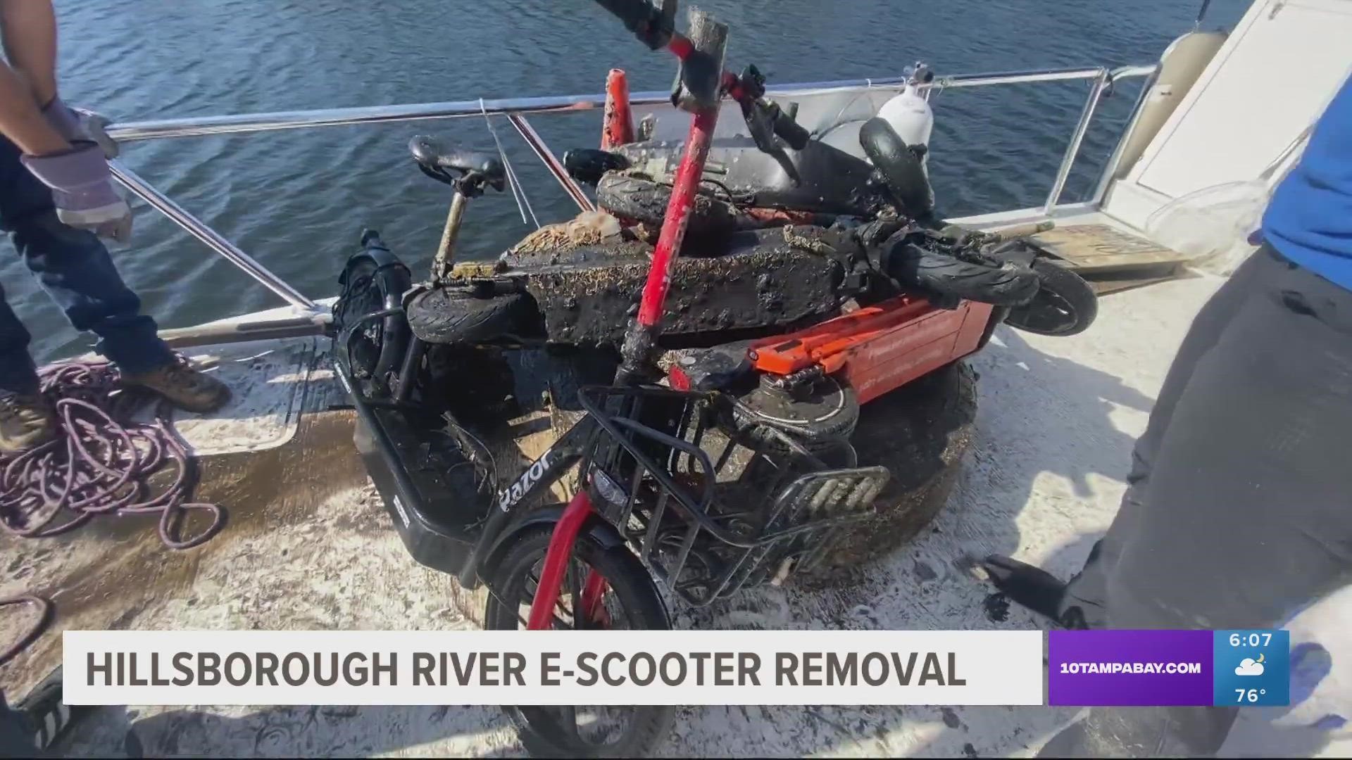 Thanks to Keep Tampa Bay Beautiful, roughly 200 scooters have been removed from the river over the course of six dives.