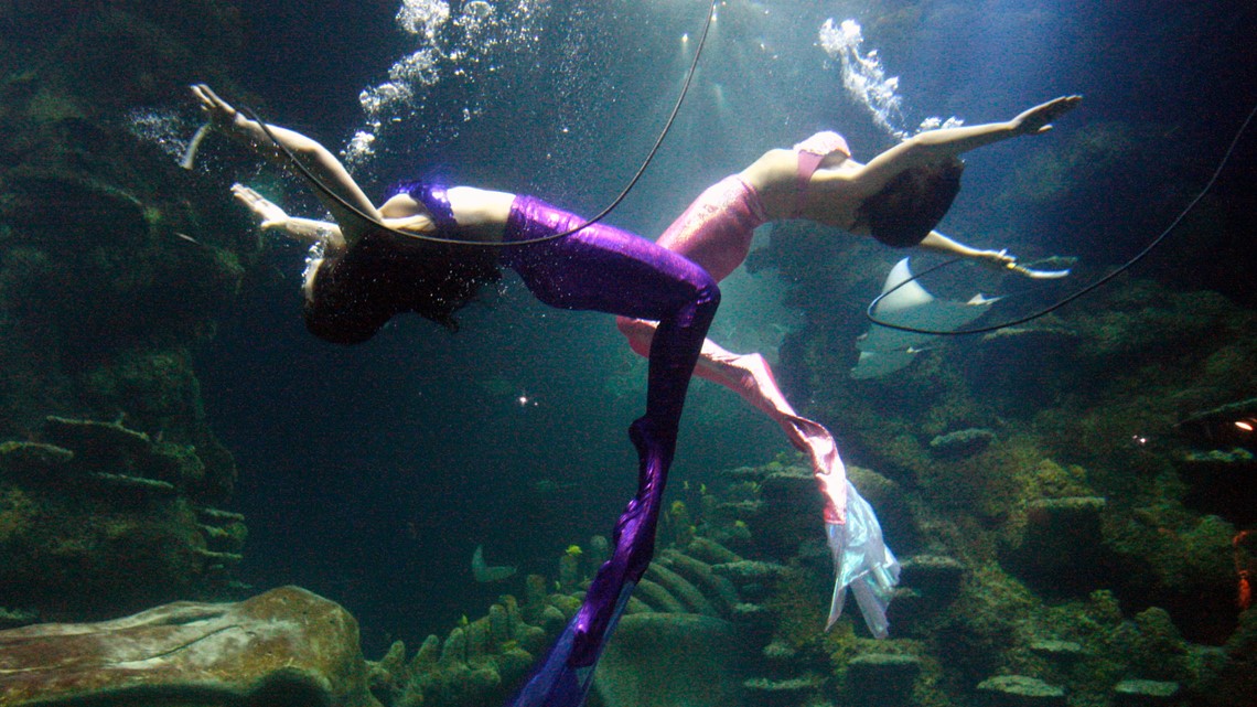 Weeki Wachee Spring State Park Suspends Mermaid Shows Cruise