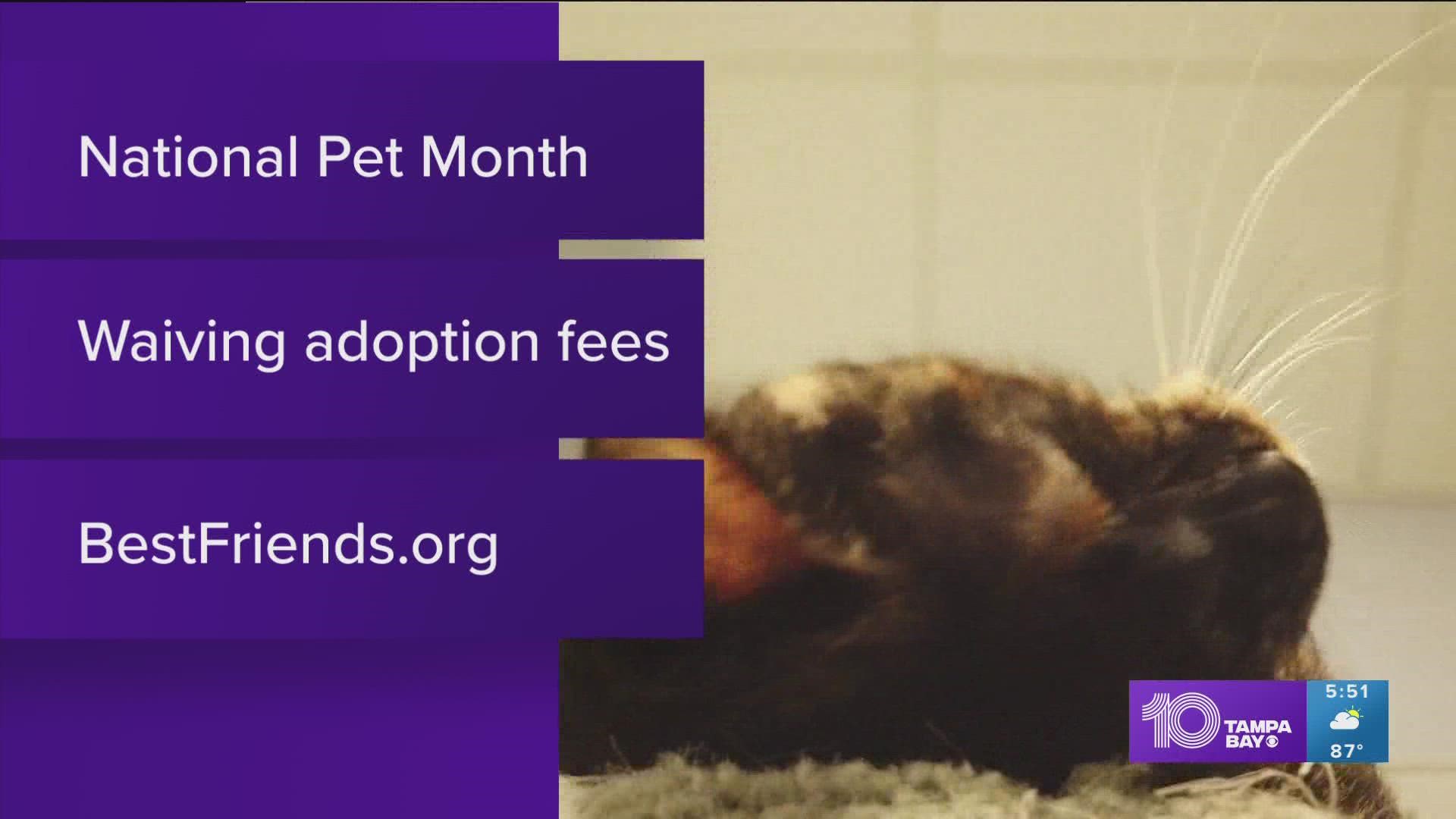 Adoption fees at Best Friends Animal Society waived for May 
