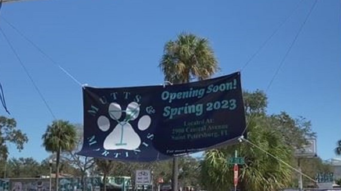 New St. Pete dog water park set to open in March - Vimarsana News