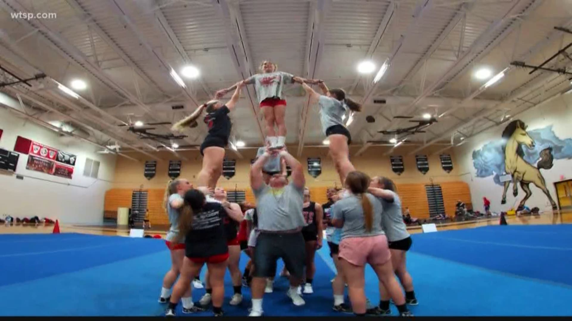 Strawberry Crest High School won the national title and they're the first cheer team in Hillsborough County to do so.