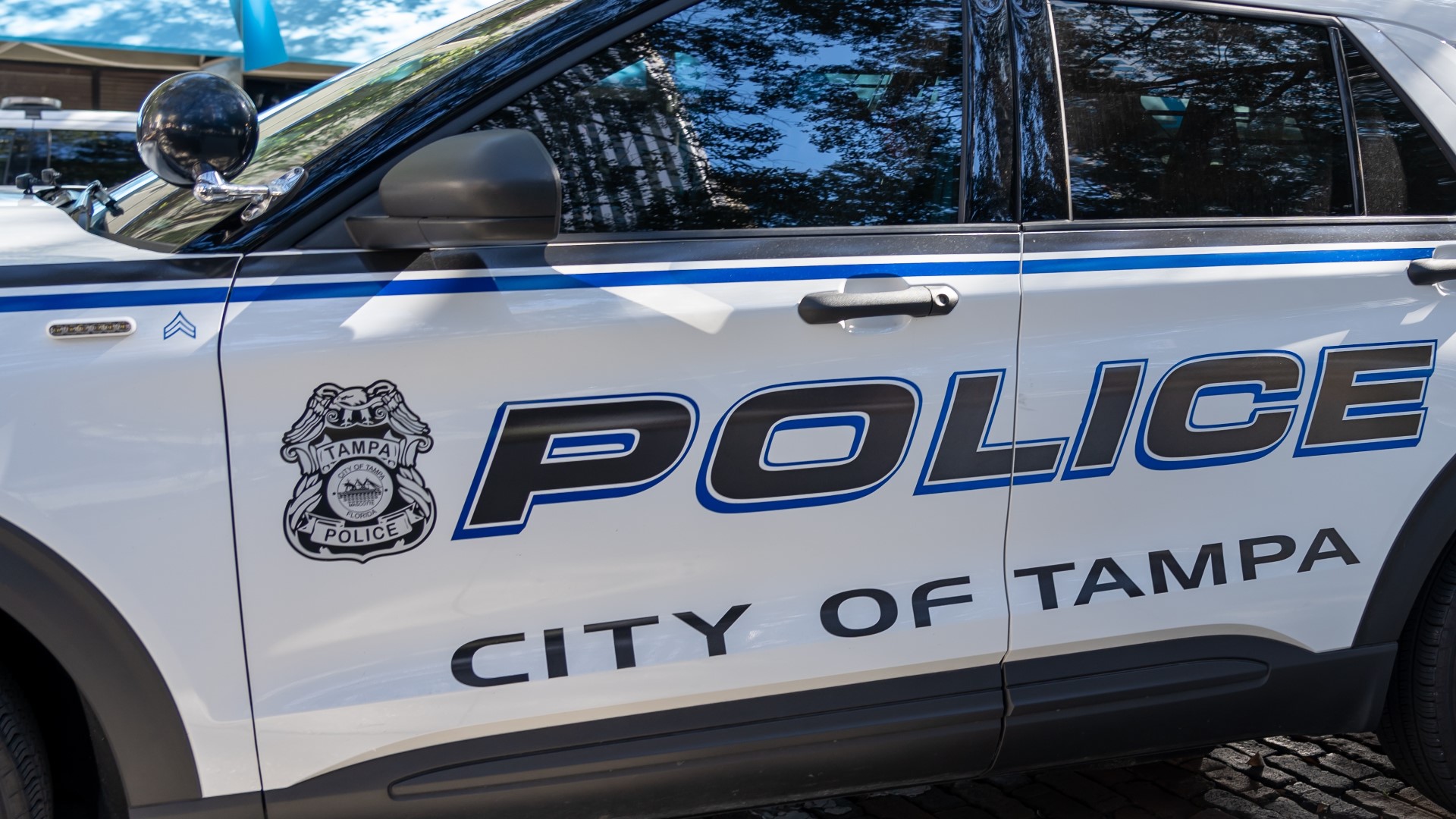 Police: Tampa teens charged in DUI crash that killed 16-year-old | wtsp.com