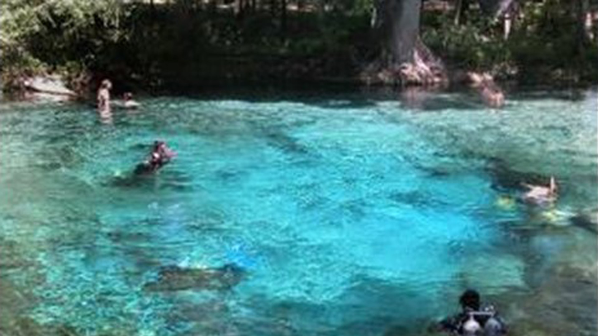 Ginnie Springs water approved for Nestle's use