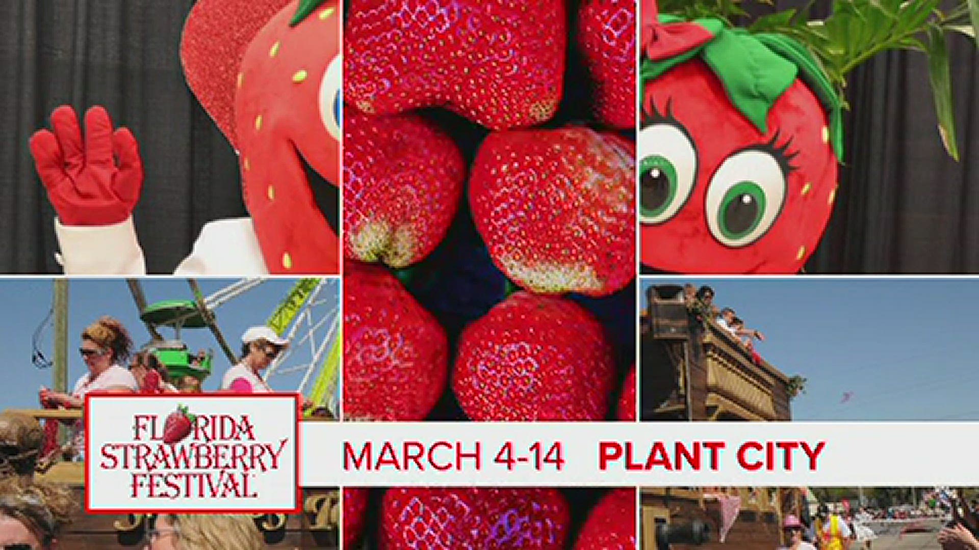 Five (5)  Prize Winners will each receive:  Four (4) general admission tickets to the 2021 Florida Strawberry Festival, March 4-14, 2021, at 303 Berryfest Place, Pla