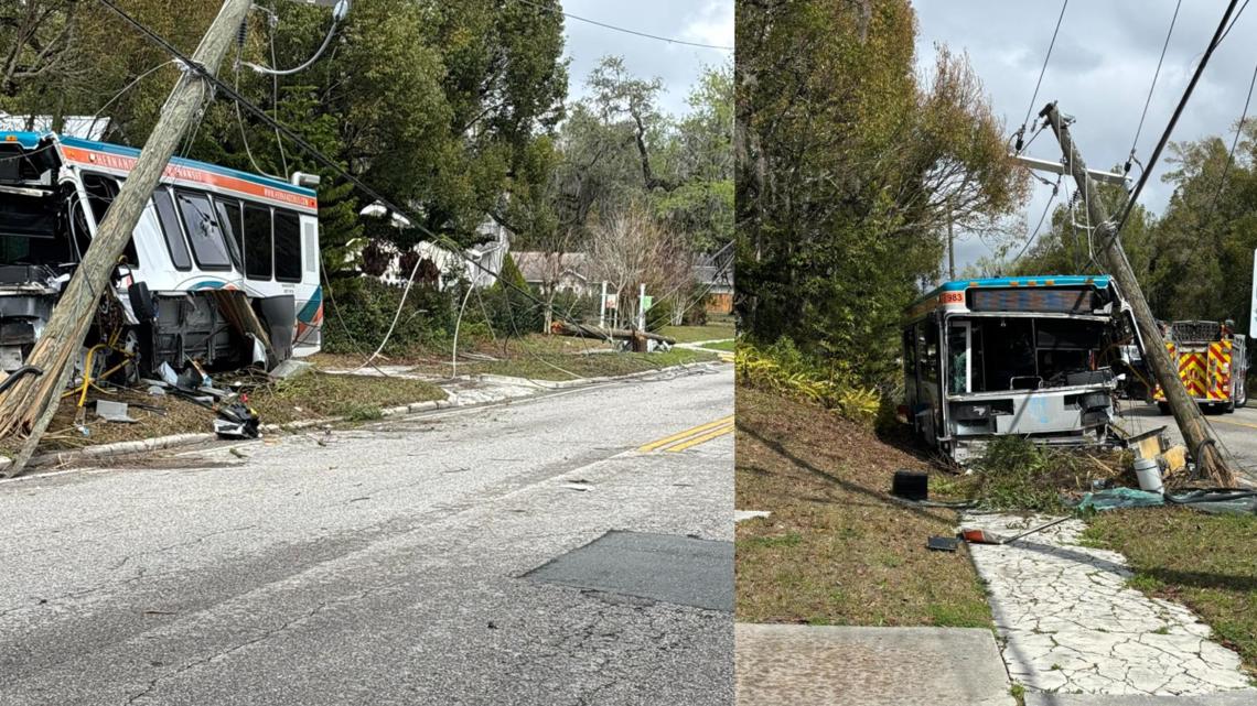 Hernando County bus driver hits utility pole after falling asleep at the wheel, deputies say