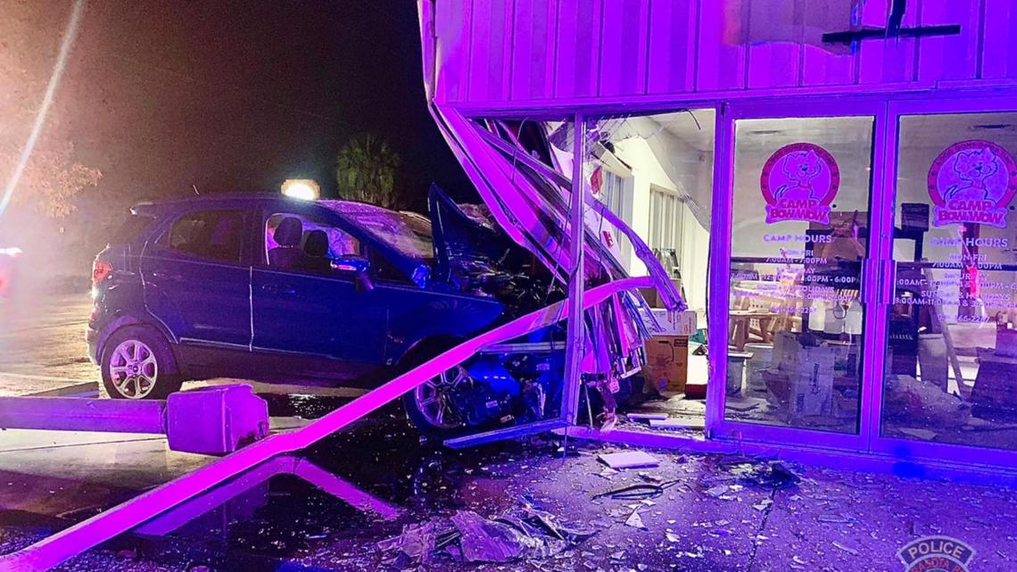 Car crashes into Sarasota doggy day care, delays reopening - Vimarsana News