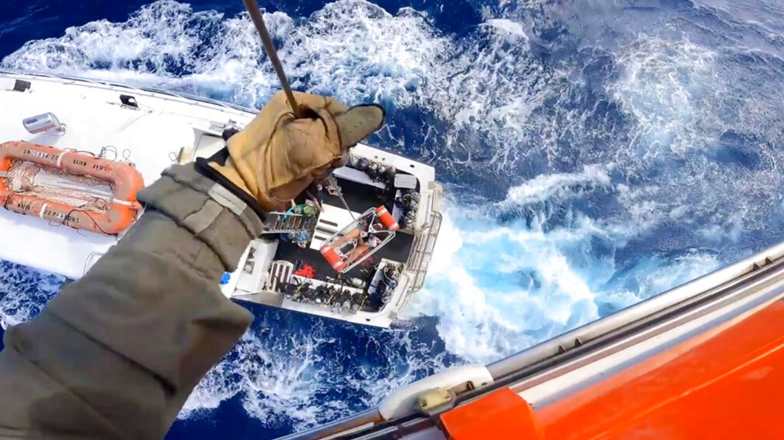 Fisherman bitten by shark rescued near Bahamas - Vimarsana News
