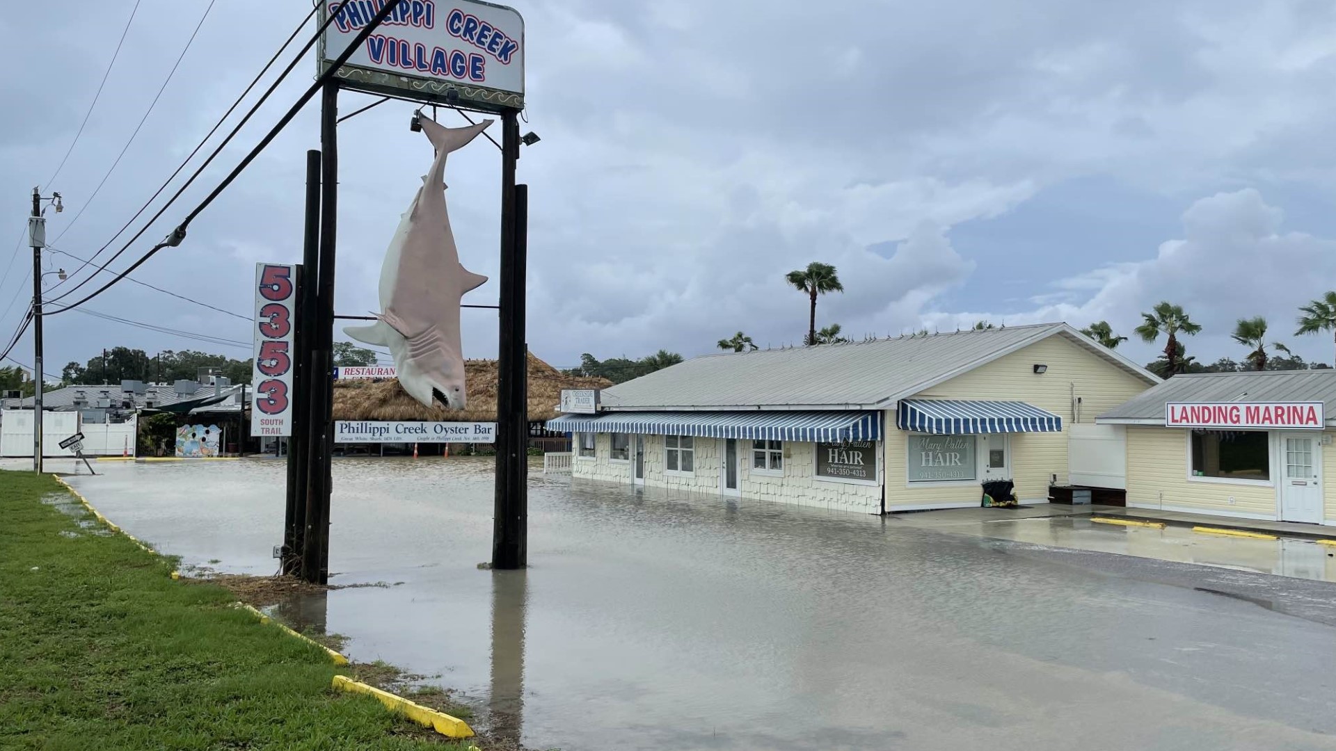 $20M Available For Florida Businesses Affected By Idalia | Wtsp.com