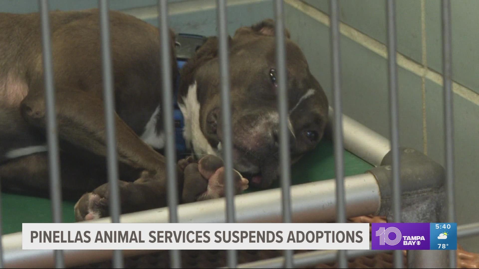 Pinellas County dog operations services suspended due to virus 