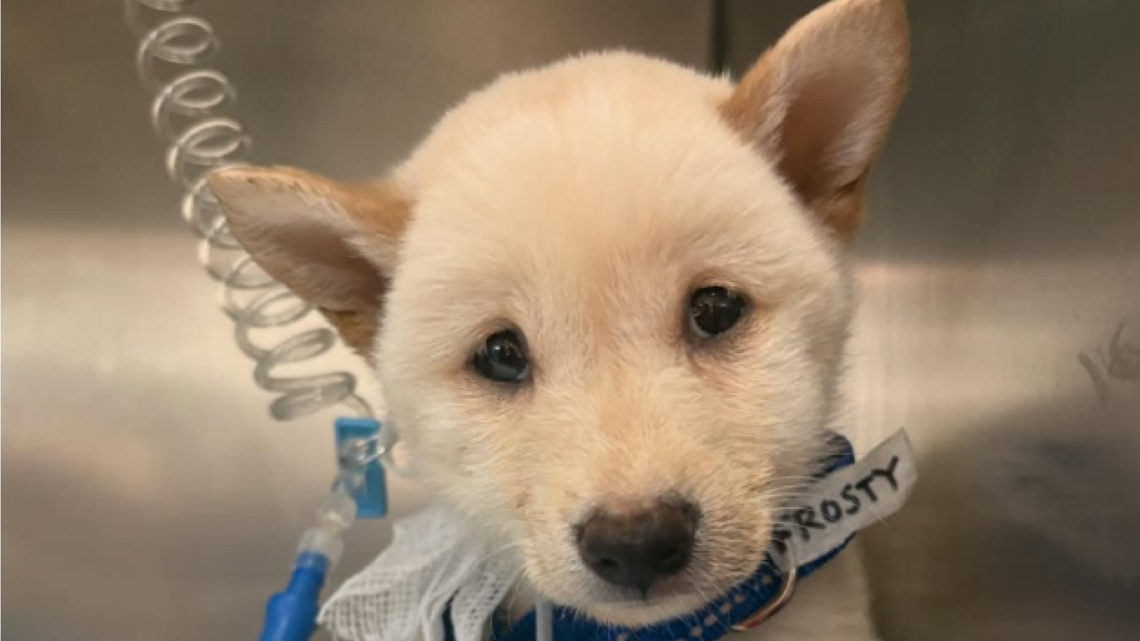 manatee-county-trash-pickup-schedule-switches-to-once-a-week-wtsp