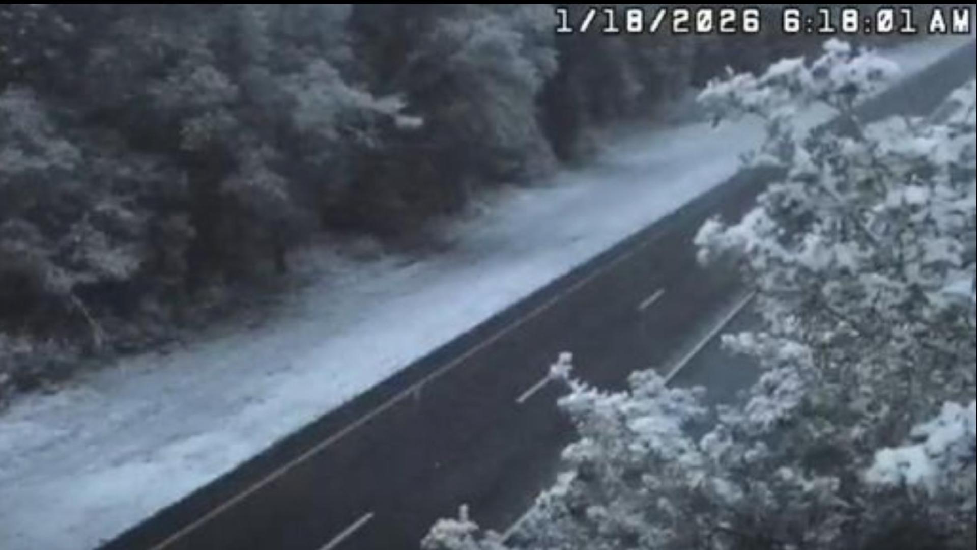Florida snow 2026: Here are photos, videos capturing snowfall across ...