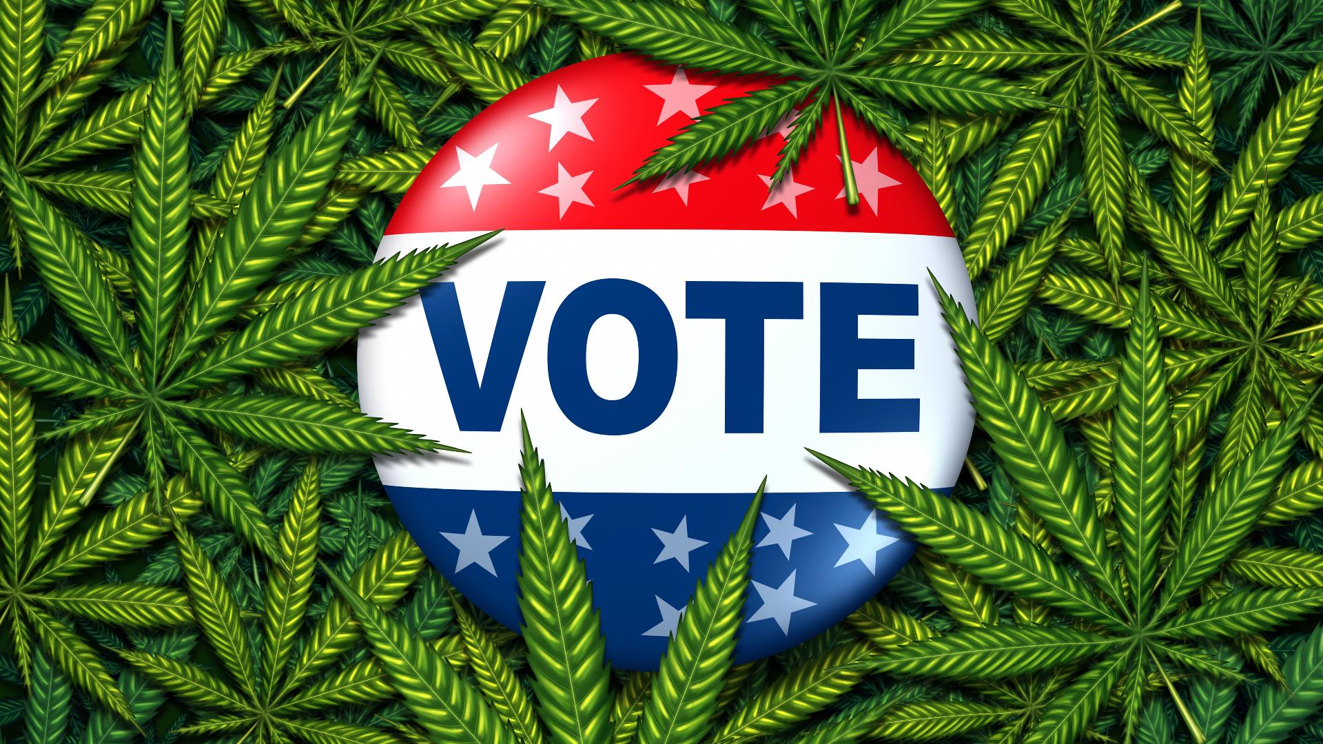 Florida Amendment 3: What to know about marijuana legalization | wtsp.com